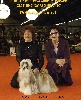  - MULTICH.DOUBLECHOC AU PARIS DOG SHOW 2011