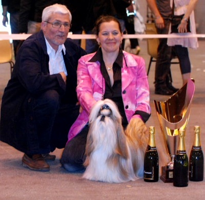 du Clos de la Beauderie - BEAUX SUCCES A SAINT-LÔ