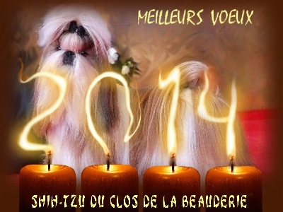 BONNE ANNEE 2014 !!!